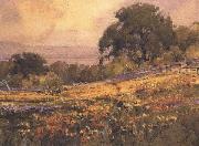 California landscape unknow artist